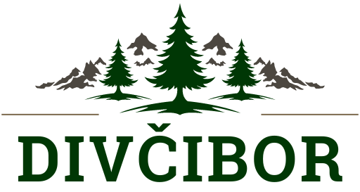 DIVČIBOR | LOGO
